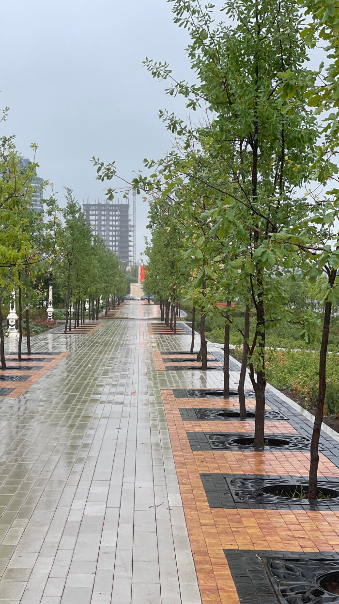 Приствольная решетка для дерева ZKING CRUST 1.2х1.2м Черная в Солнечногорске фото