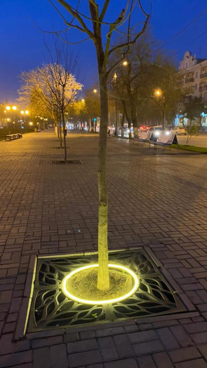 Приствольная решетка для дерева ZKING CRUST 1.2х1.2м Черная в Солнечногорске фото